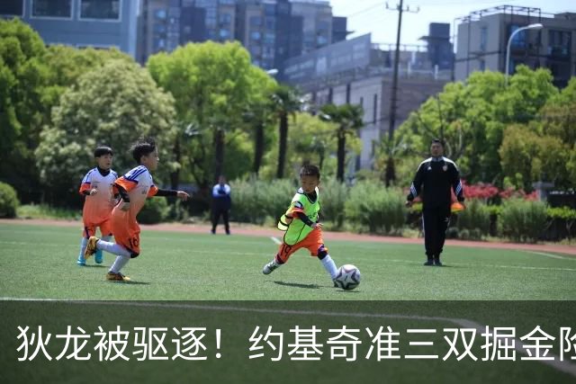 狄龙被驱逐！约基奇准三双掘金险胜太阳 穆雷39+7三分布劳恩31分